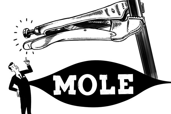 Mole grips old poster