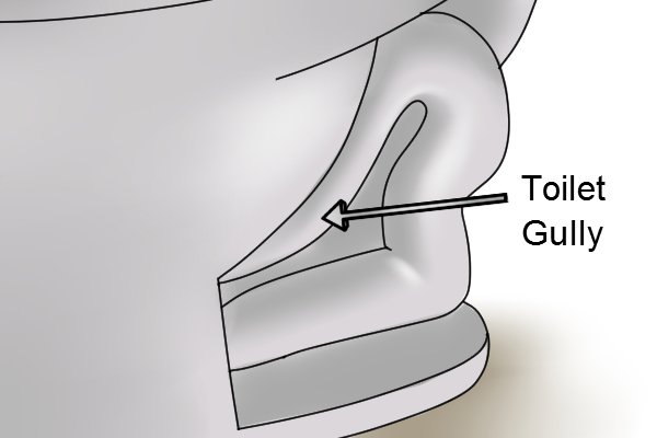 A toilet gullet is the starting section of the U bend, where the water sits