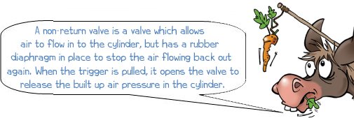 A non-return valve is a valve which allows air to flow in to the cylinder, but has a rubber diaphragm in place to stop the air flowing back out again. When the trigger is pulled, it opens the valve to release the built up air pressure in the cylinder. 