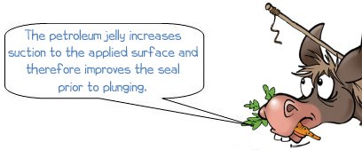 The petroleum jelly increases suction to the  applied surface and therefore improves the seal prior to plunging.