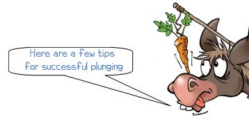 Here are a few top tips for successful plunging 