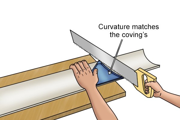 Curvature matches the coving's