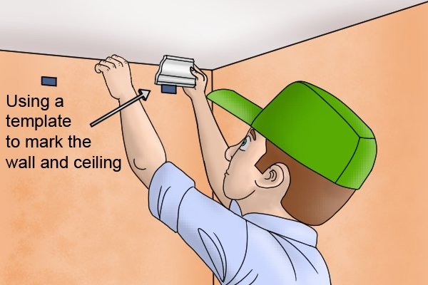 Use the template to mark the position the coving should take along the wall and ceiling