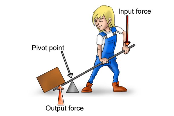 Input and output forces of a lever