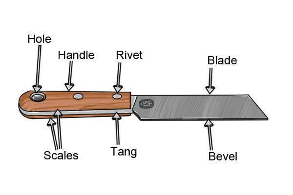 The parts of a hacking knife include: blade, tang, handle, scales, rivets, hole, bevel and strap