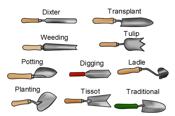 Types of garden trowel: traditional, transplanting, dixter, ladle, potting, digging, tulip, weeding, tissot, planting