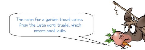 Wonkee Donkee says "The name for a garden trowel comes from the Latin word 'truella', which means small ladle"