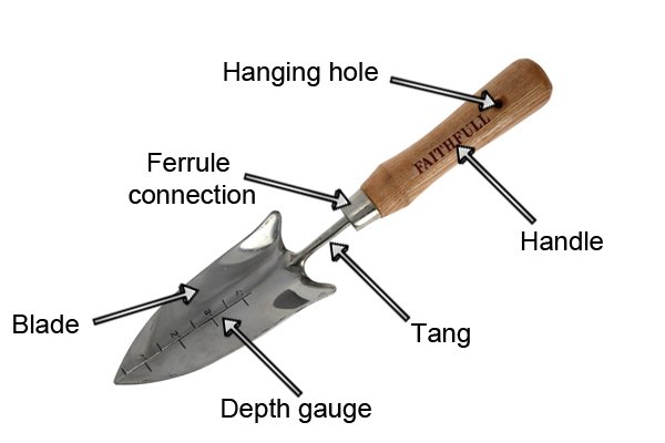 Parts of a garden trowel: ferrule connection, head, handle, tang, hanging hole