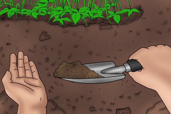 Scooping soil with a traditional hand trowel