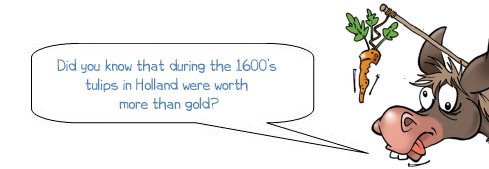 Wonkee Donkee says "Did you know that during the 1600’s tulips in Holland were worth more than gold?"
