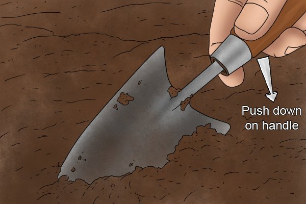 Placing pressure on a garden trowel handle to lever out soil