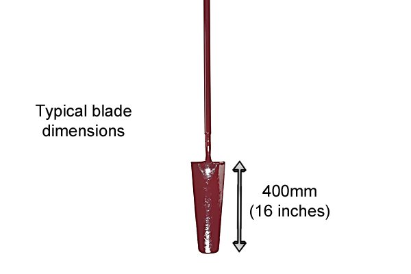 The blade is usually very long and tapers towards the end
