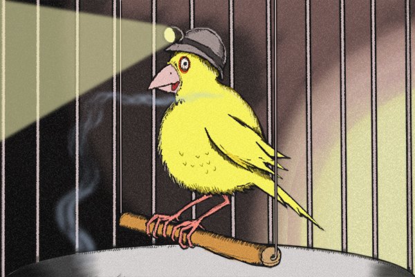 canary in a coal mine