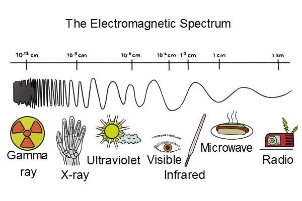 electromagnetic spectrum, gamma ray, x-ray, ultraviolet, visible, infrared, microwave, radio