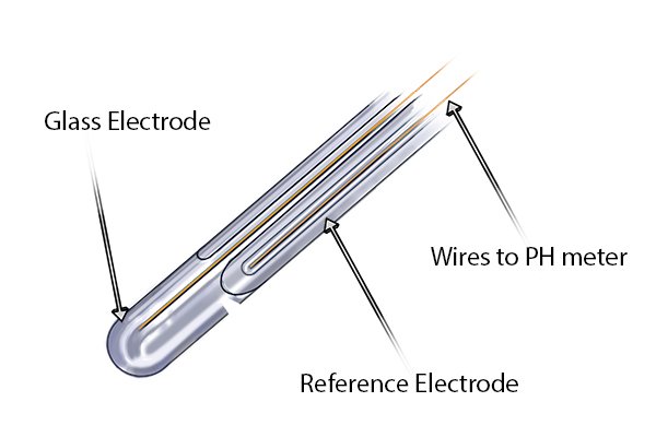 electrodes on pH meters, glass and reference