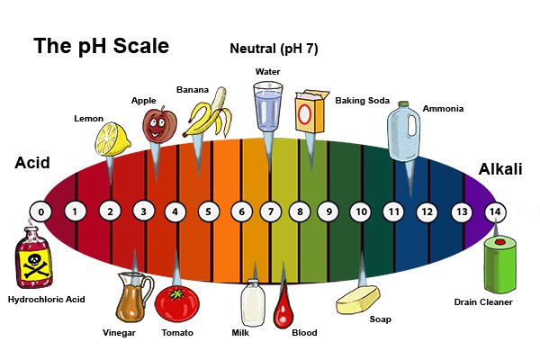 the pH scale