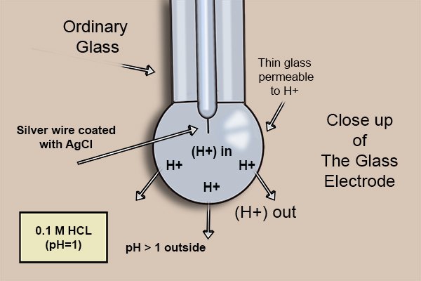 hydrogen ions attracted to glass electrode