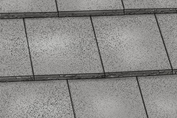 plain tile, tiles, roof tiles, roofing tiles, rooves, roofs, plain tiles,