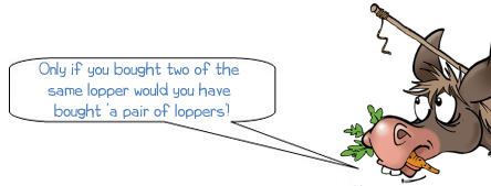 Only if you bought two of the  same lopper would you have  ‘a pair of loppers’!