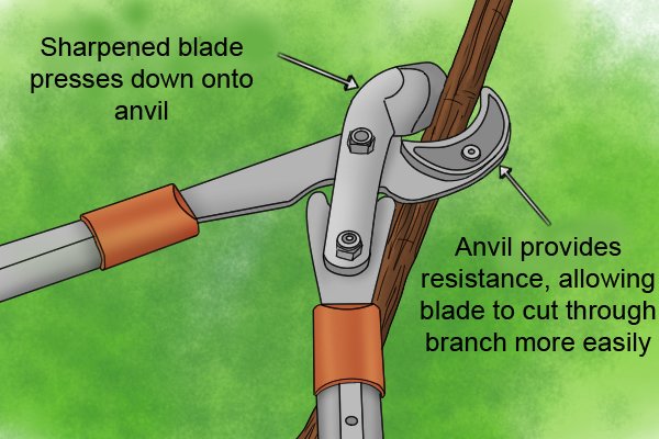 Types shop of loppers