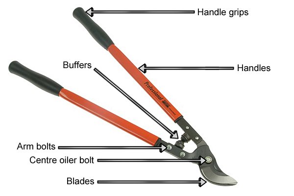 lopper, garden lopper, gardening tools, garden pruning tools, pruning tools, prune,