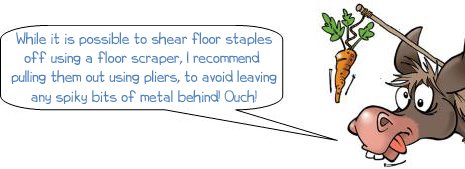 While it is possible to shear floor staples  off using a floor scraper, I recommend  pulling them out using pliers, to avoid leaving any spiky bits of metal behind! Ouch!