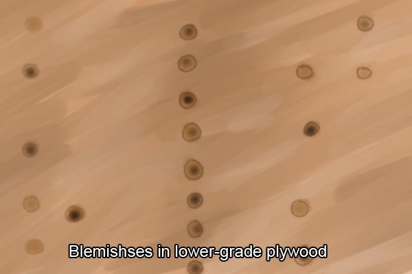 Blemishes in lower-grade plywood; plywood defects; how plywood is graded