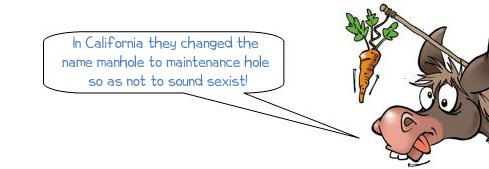 Wonkee Donkee says "In California, manholes are called maintenance holes, so as not to sound sexist