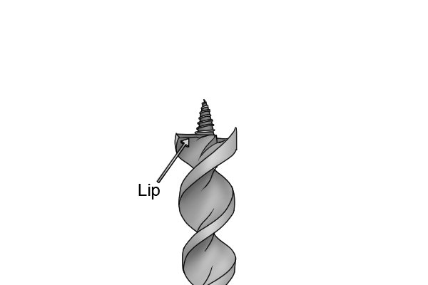 Labelled diagram of the location of the lip on an auger bit