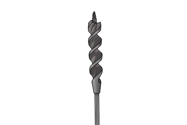 Example of an auger bit with double-twisted flighting