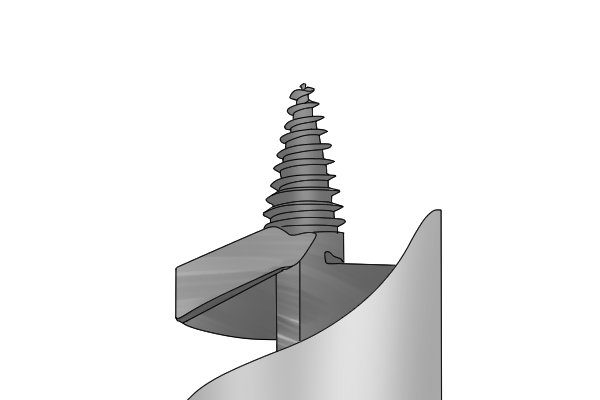 A guide screw on an auger bit