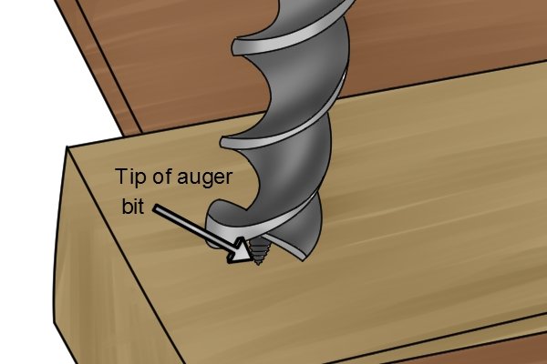 Image showing an auger bit guide screw engaging with a plank of wood