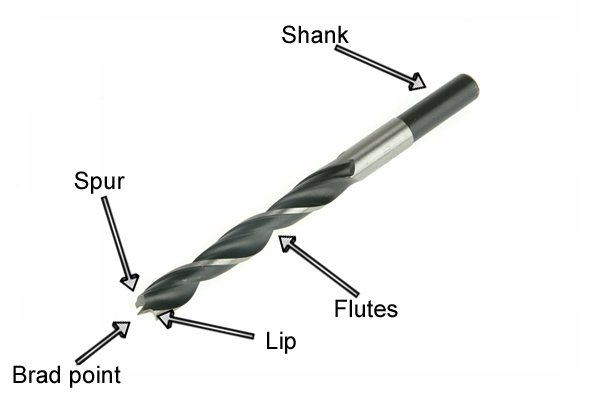 Labelled diagram of a brad point bit indicating the different parts by name