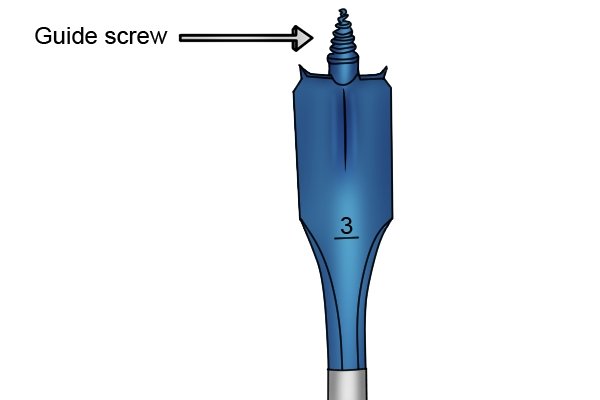 An example of a self-feeding spade bit showing the location of the guide screw on the tip