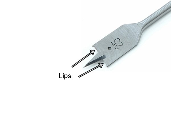 Diagram showing the location of the lips on a spade bit
