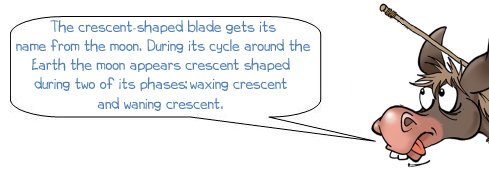 Wonkee donkee says "The crescent shaped blade gets its name from the moon. During its cycle around the Earth the moon appears crescent shaped during two of its phases waxing crescent and waning crescent."