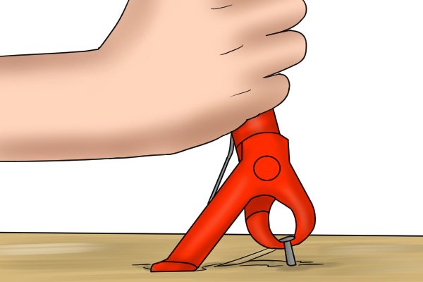 The jaws of a nail puller will clamp around the nail head to pull it out