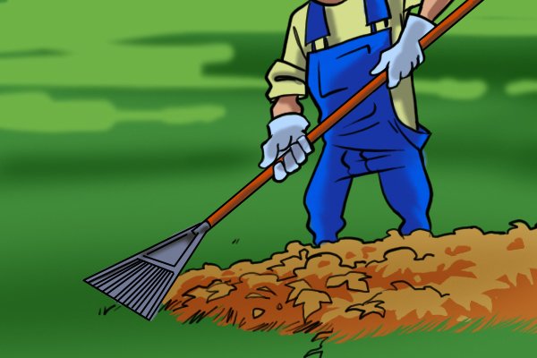 Rakes can be used for many different jobs, including breaking up hard soil and gathering hay