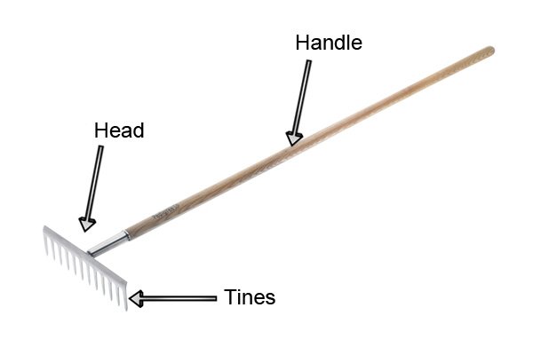 Rakes are simples tools consisting of handle head and tines