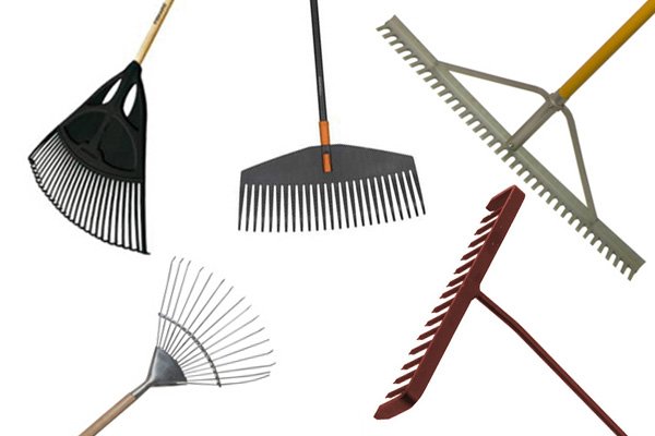 Rakes come in many styles