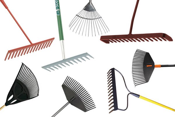 Rakes have different designs and features for different jobs. 