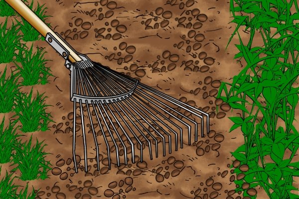 Lawn rakes with strong enough tines can be used to disturb soil and remove dead roots