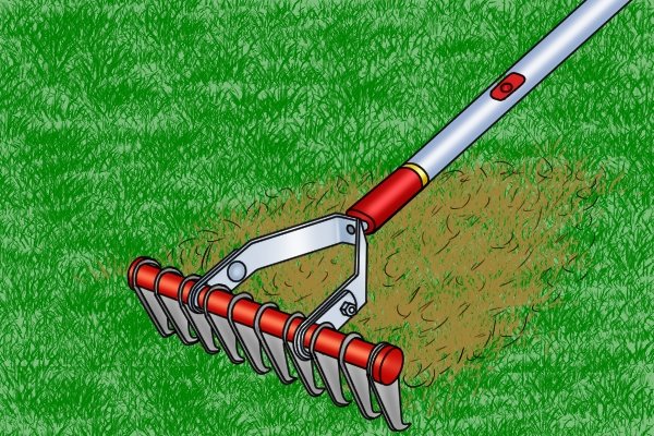 If thatch builds up too much on lawns it can damage it, thatch rakes can be used to dethatch grass