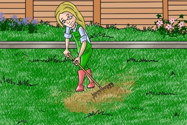 Rake over the area more than once to remove thatch or moss