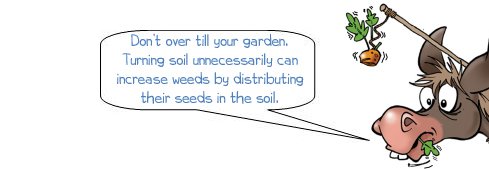 Wonkee Donkee says "Don’t over till your garden. Turning soil unnecessarily can increase weeds by distributing their seeds in the soil"