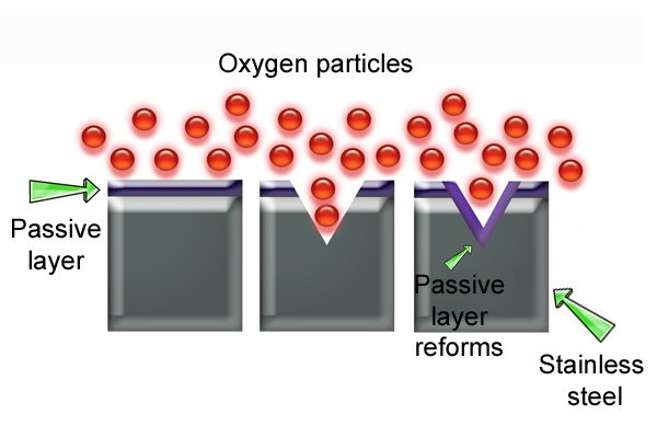 Stainless steel forms a passive layer which protects it