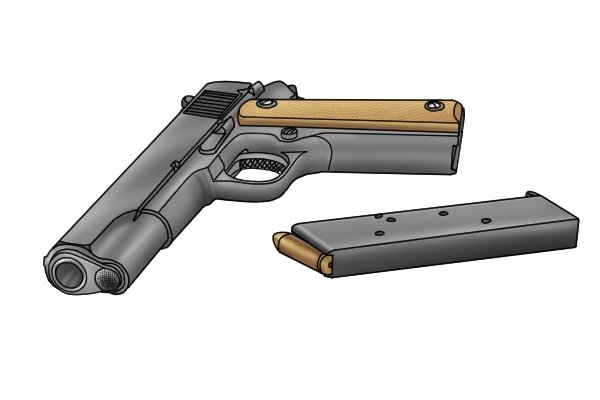 Inspection cameras used by gunsmiths