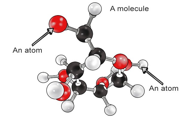 A molecule is made up of atoms attached together by bonds.