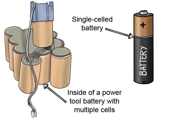 Cells of a battery.