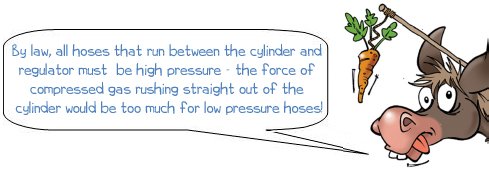 Wonkee Donkee says you must use high pressure hose between regulator and cylinder